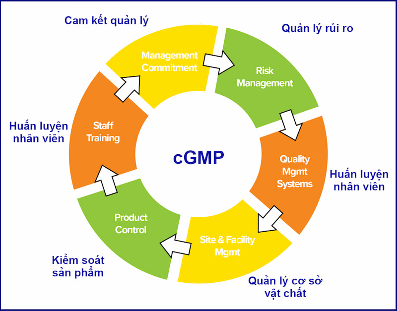 Tiêu chuẩn CGMP được quy định như thế nào?