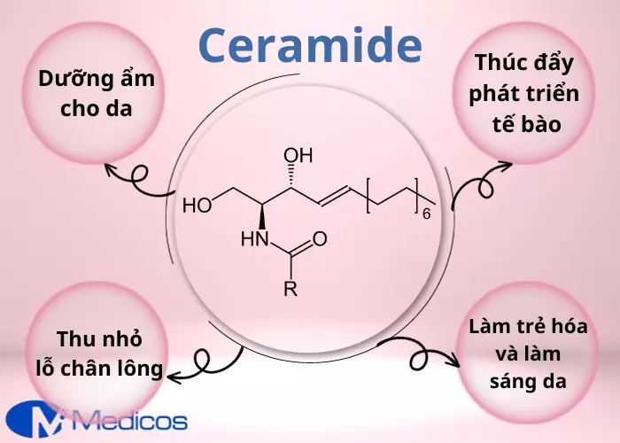 Công dụng của Ceramide trong sản phẩm kem phục hồi da nám