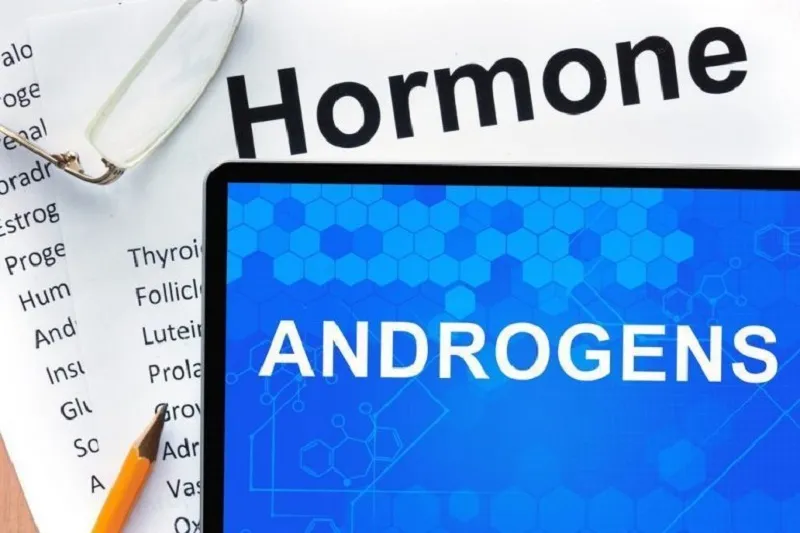 Sự gia tăng của Androgen ở nam giới có thể kích thích sự tăng tiết dầu