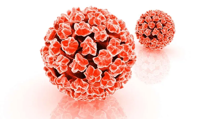 virus HPV (Human papillomavirus) được xem là một yếu tố nguy cơ gây ra ung thư biểu mô tế bào vảy của da và cổ tử cung