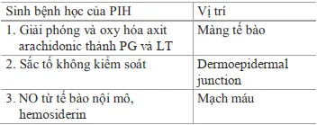 Sinh lý bệnh của PIH theo vị trí. PG: prostaglandin, LT: leutotriene, NO: nitric oxide