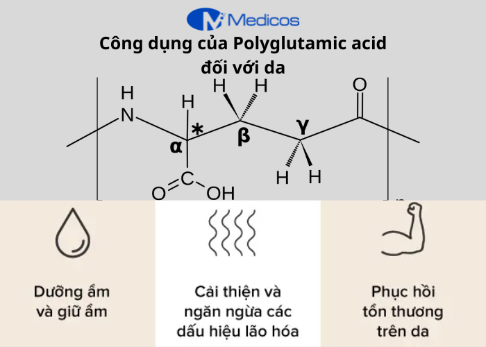Công dụng của Polyglutamic Acid