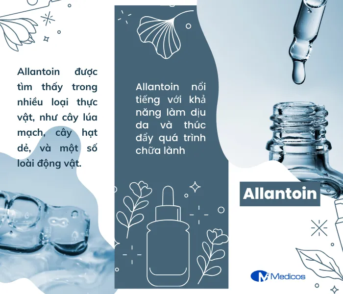 Allantoin và những lợi ích đối với làn da