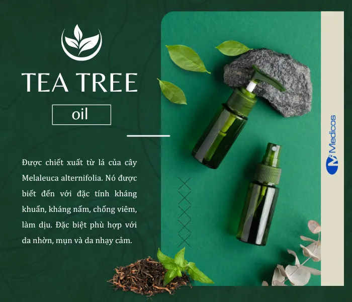 Tea tree oil và những lợi ích cho làn da nhạy cảm