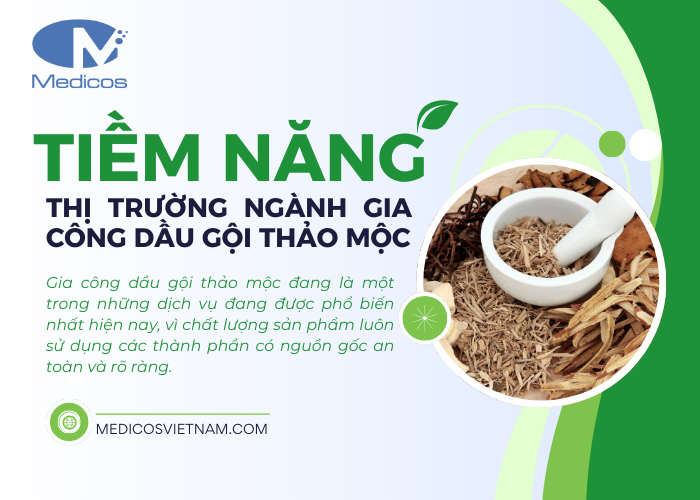 Tiềm năng và thị trường của ngành gia công dầu gội thảo mộc hiện nay