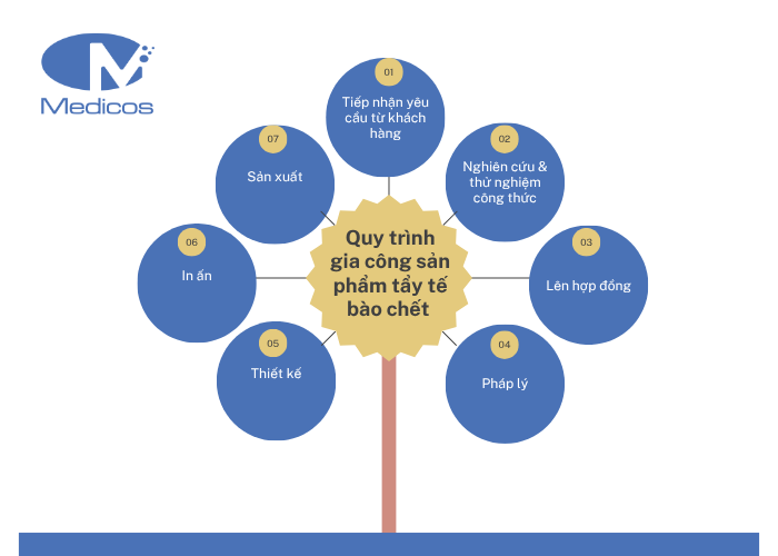 Quy trình gia công sản phẩm tẩy tế bào