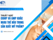 Thuật ngữ cGMP và GMP khác nhau thế nào trong sản xuất mỹ phẩm?