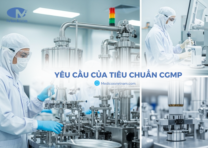 Yêu cầu của chứng nhận cGMP trong sản xuất mỹ phẩm 