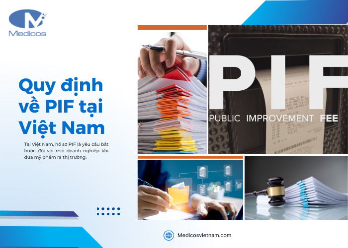 Quy định về hồ sơ của PIF tại Việt Nam 