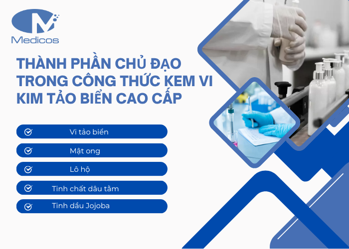 Thành phần chính có trong sản phẩm kem vi kim tảo biển