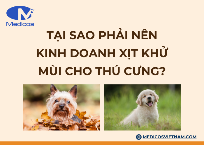 Những lý do nên gia công xịt khử mùi cho thú cưng 